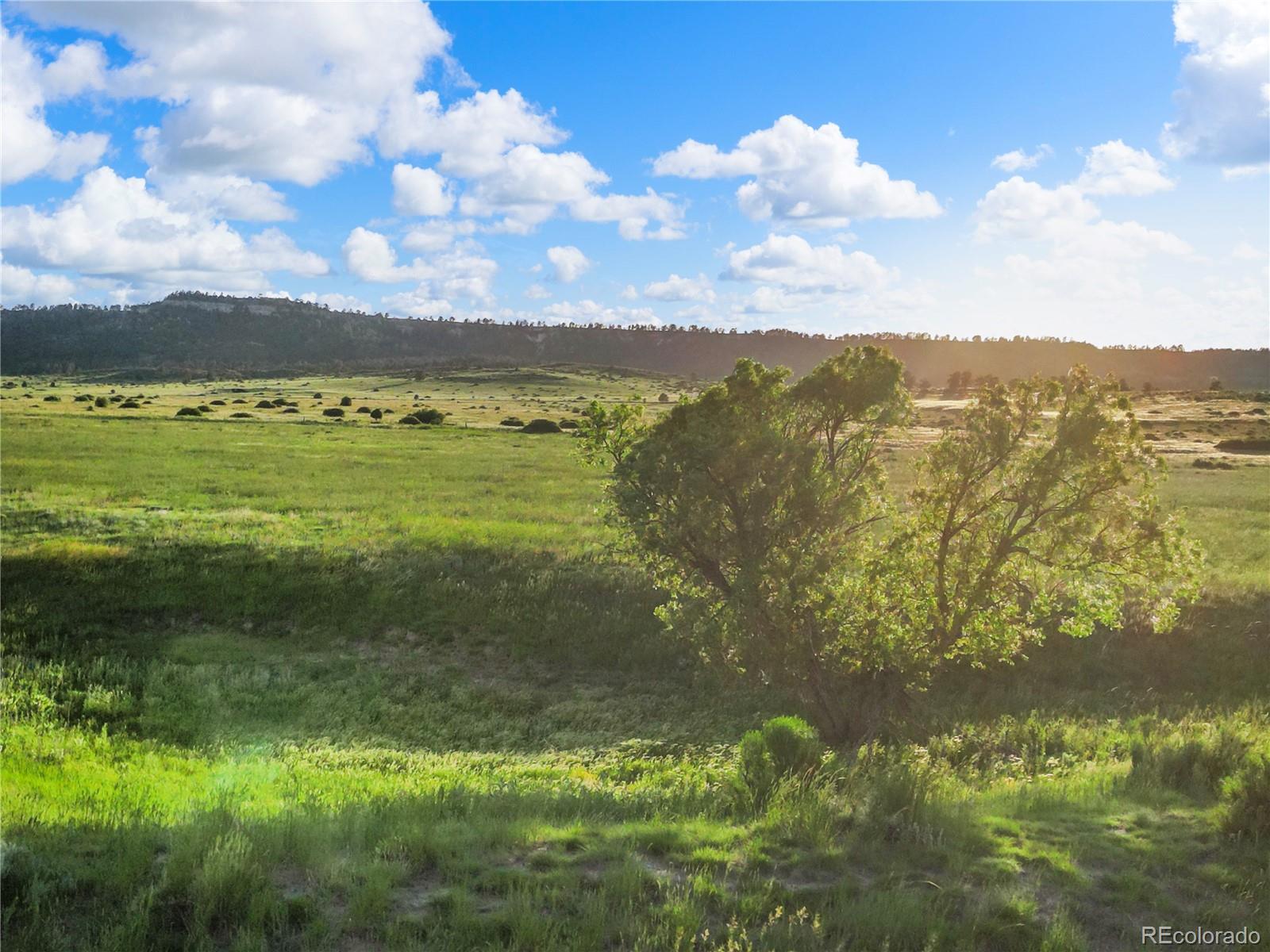 22 County Road 53 Elbert, CO 80106 - Photo 17 of 46 a view of an ocean