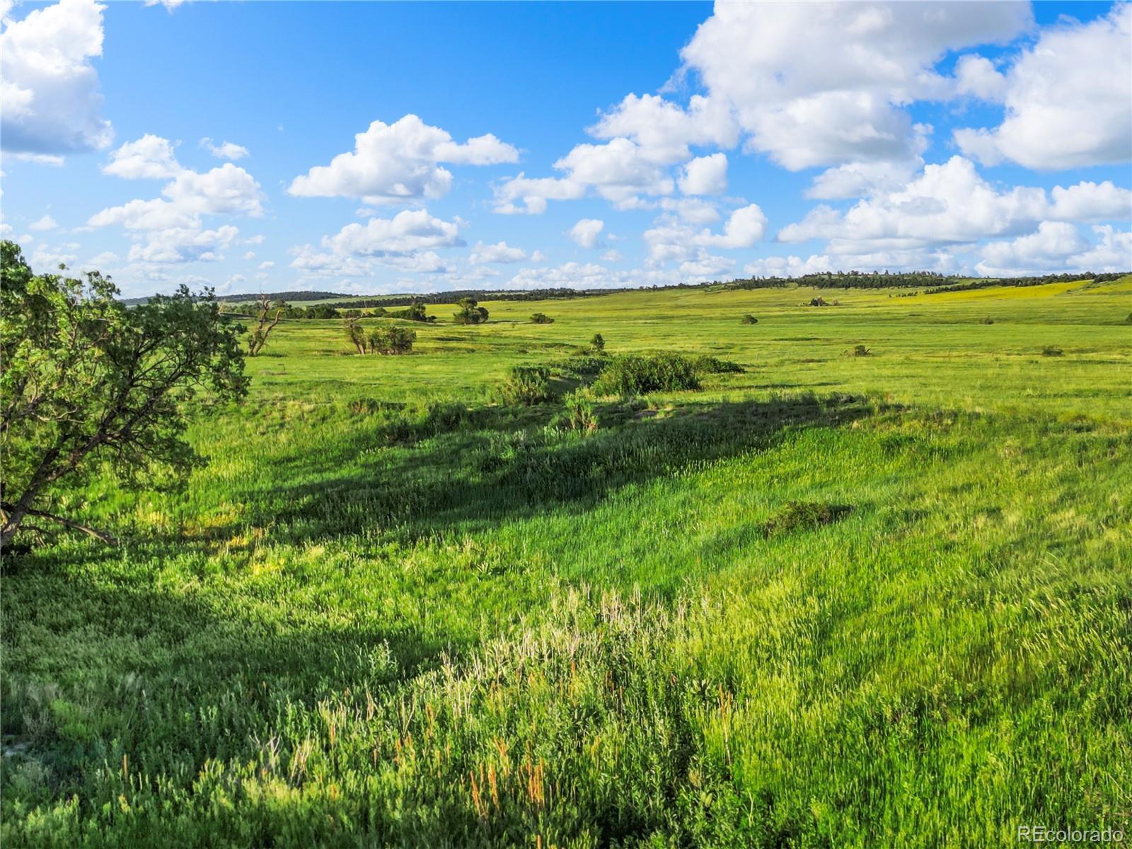 22 County Road 53 Elbert, CO 80106 - Photo 20 of 46 a view of a yard with an ocean
