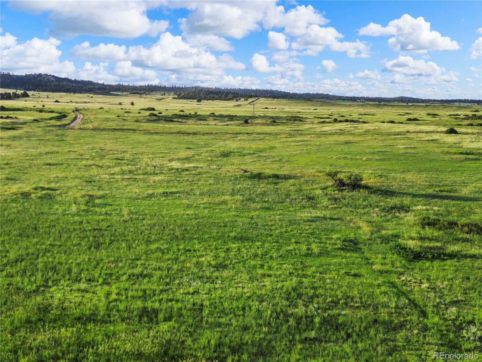 22 County Road 53 Elbert, CO 80106 - Photo 21 of 46 a view of an ocean