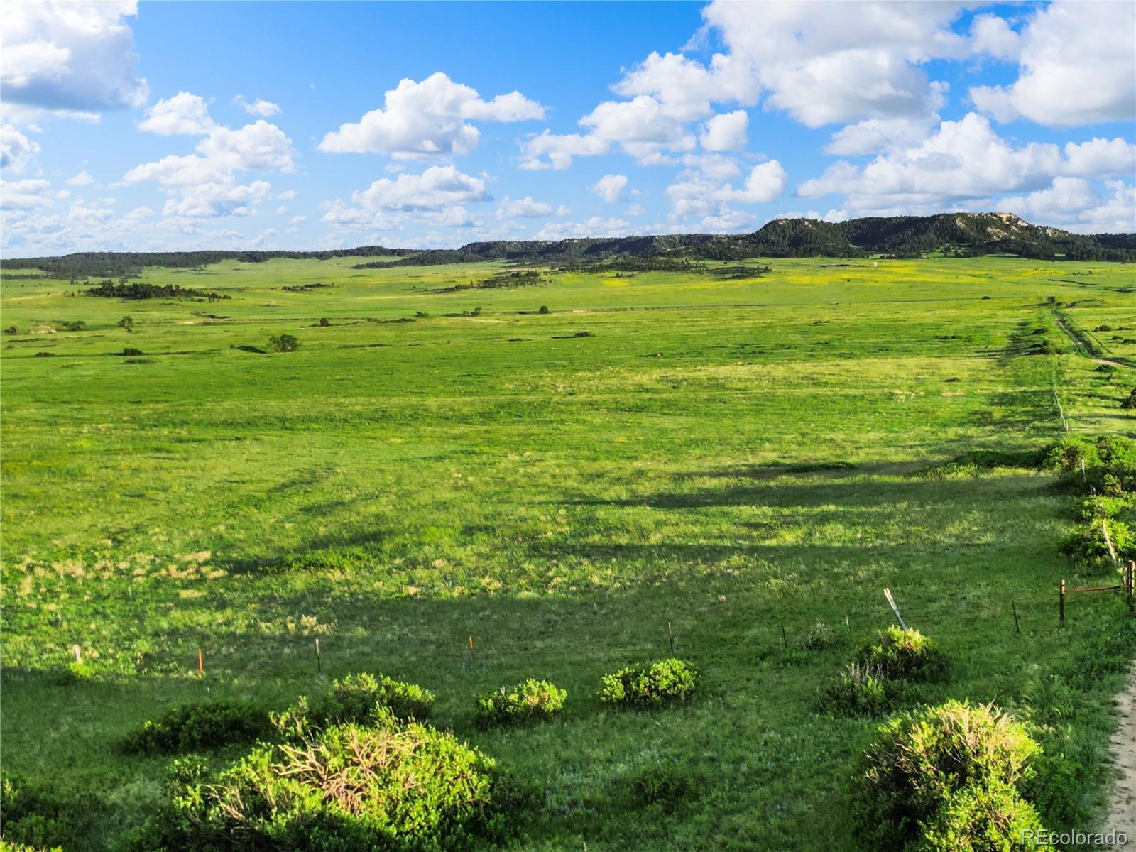 22 County Road 53 Elbert, CO 80106 - Photo 22 of 46 a view of an outdoor space and yard