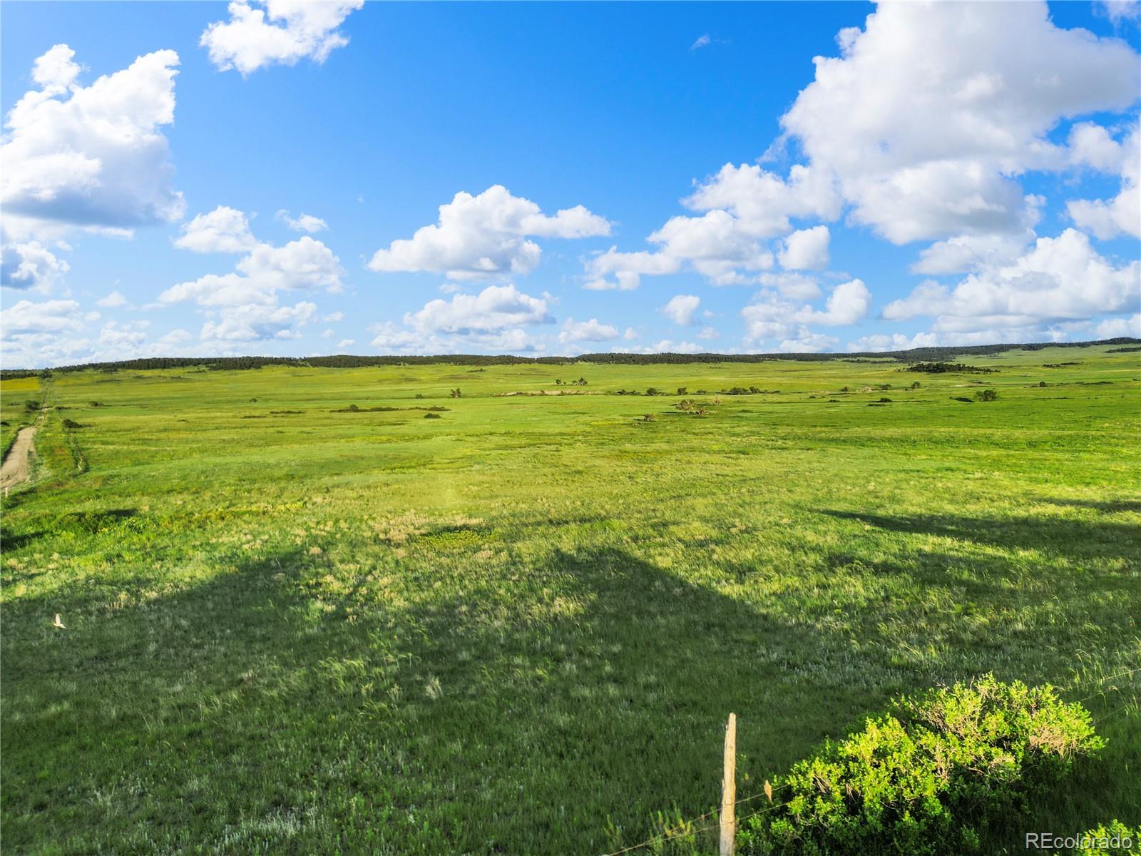 22 County Road 53 Elbert, CO 80106 - Photo 24 of 46 a view of a big yard with lots of green space