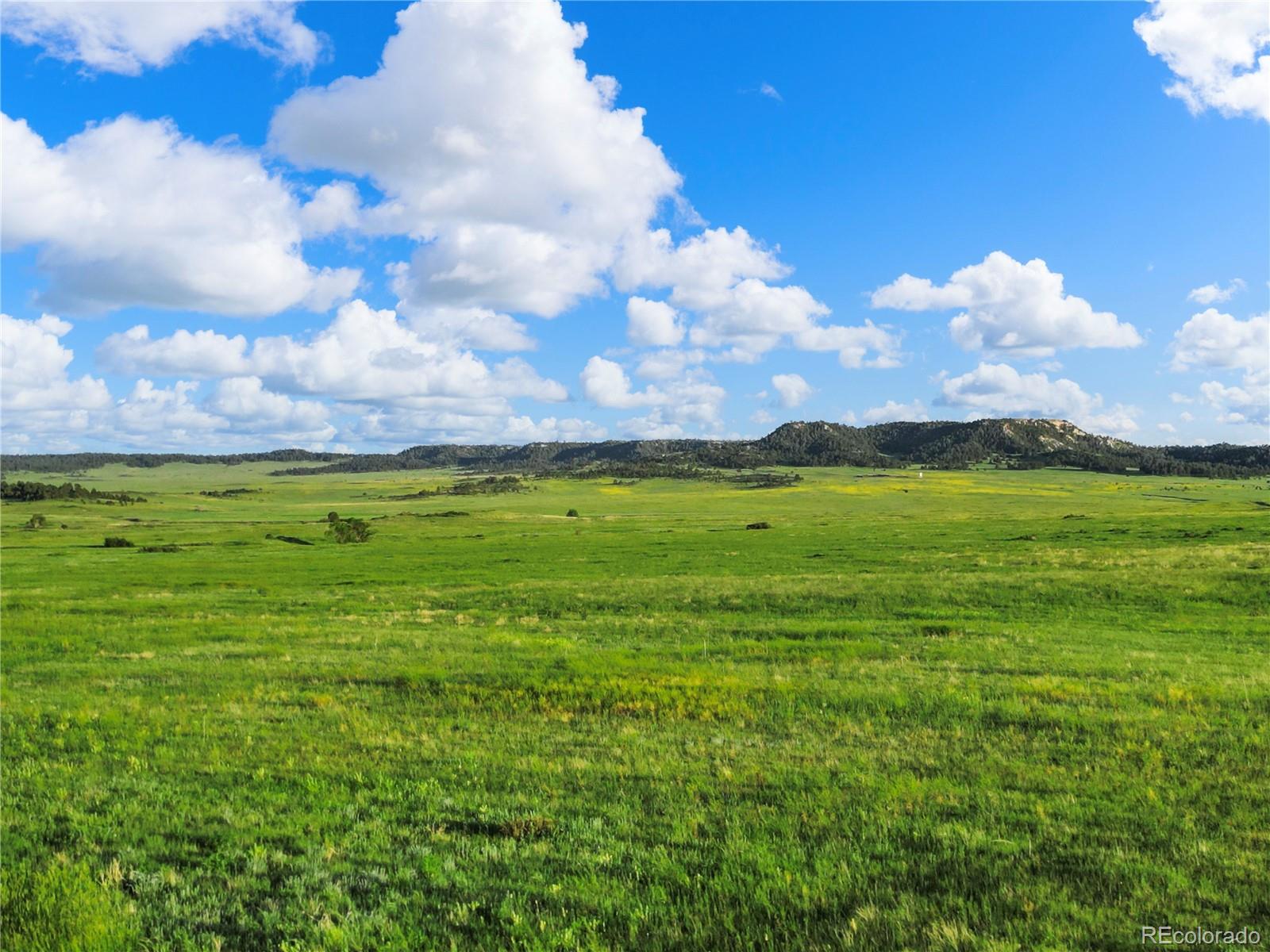 22 County Road 53 Elbert, CO 80106 - Photo 26 of 46 a view of a big yard