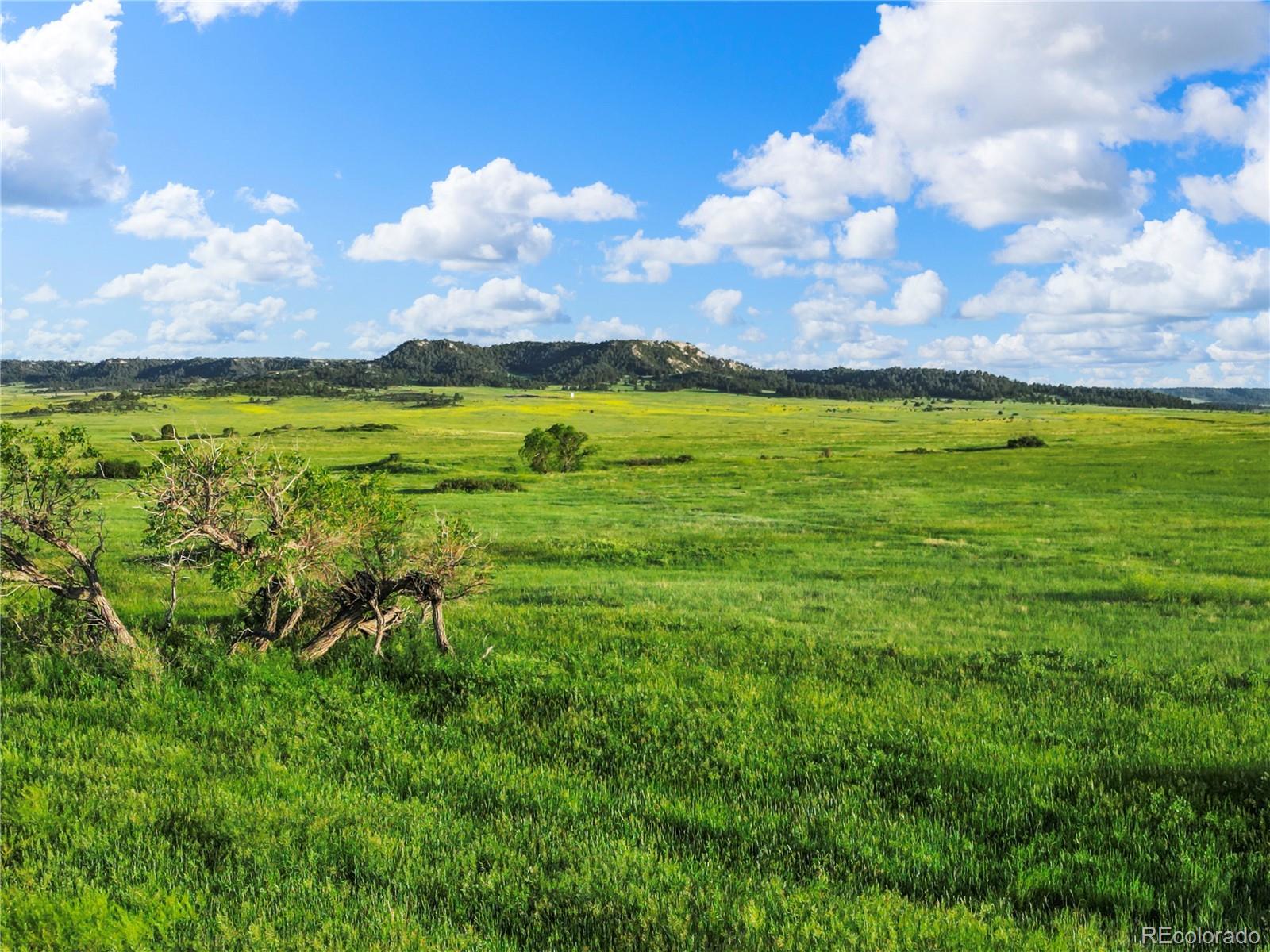 22 County Road 53 Elbert, CO 80106 - Photo 3 of 46 a view of a city