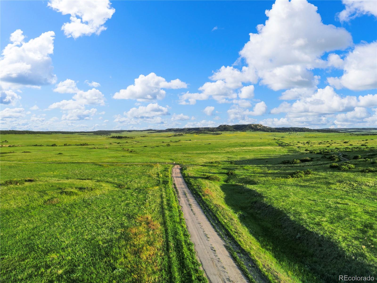 22 County Road 53 Elbert, CO 80106 - Photo 31 of 46 a view of a big room with lots of green space