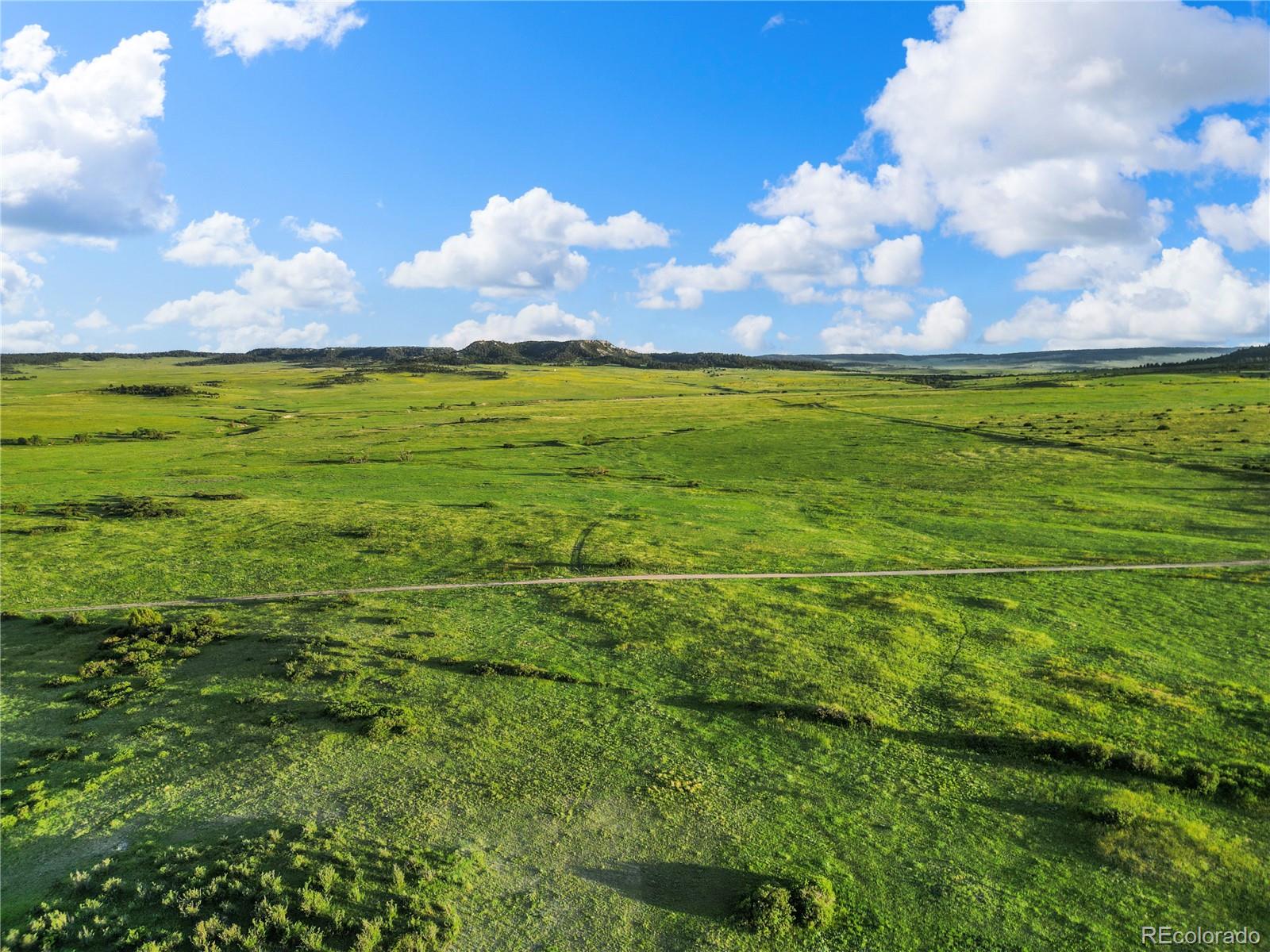 22 County Road 53 Elbert, CO 80106 - Photo 37 of 46 a view of a big yard
