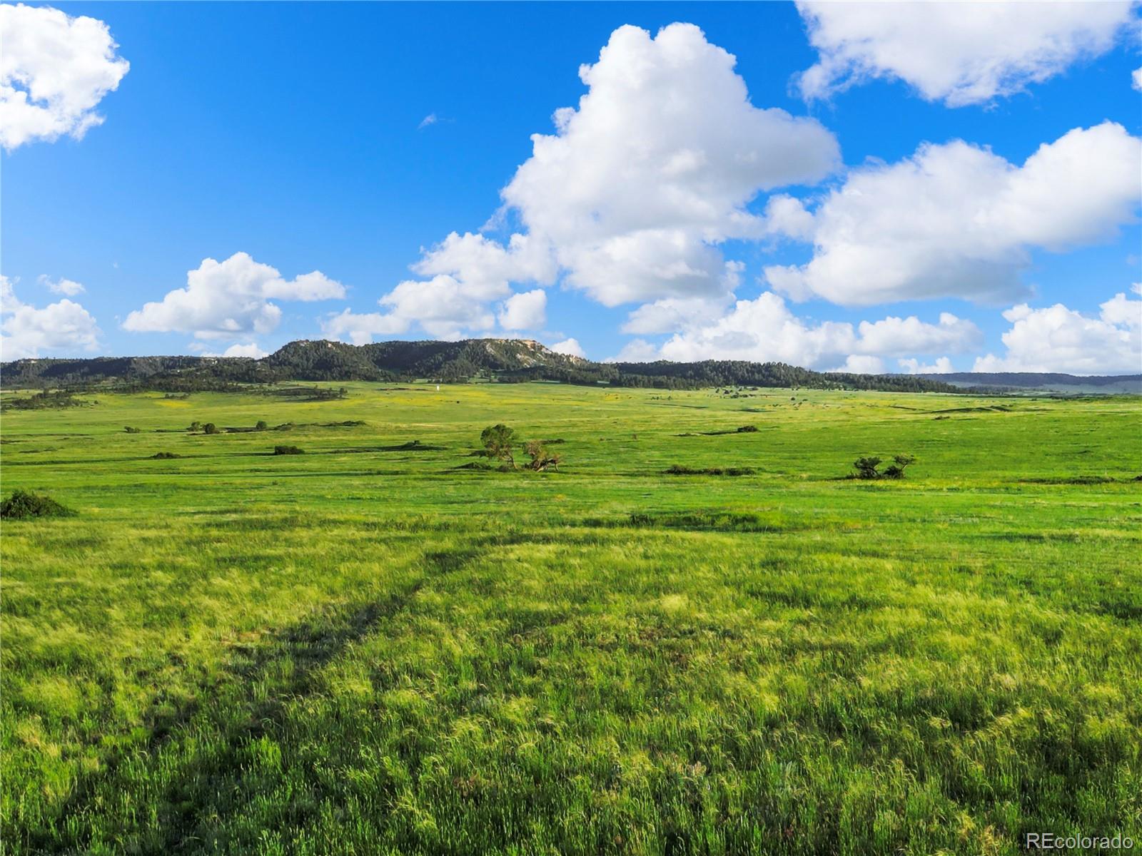 22 County Road 53 Elbert, CO 80106 - Photo 38 of 46 a view of a golf course with a lake