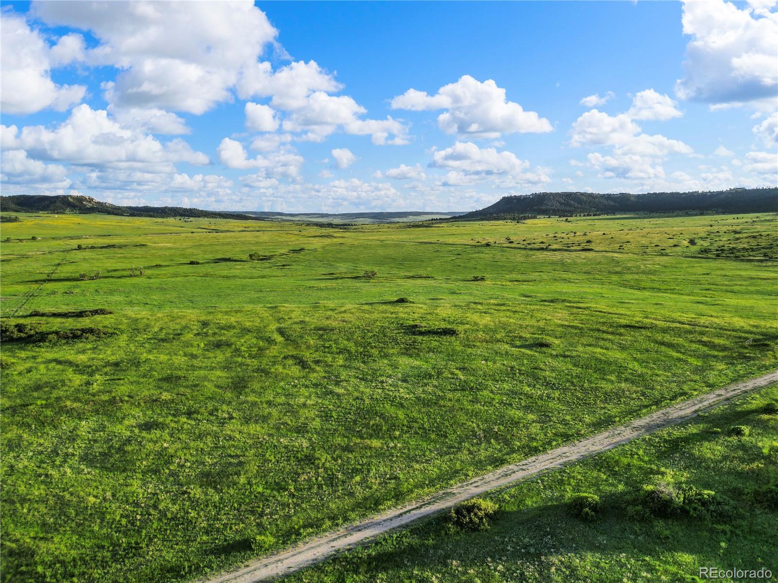 22 County Road 53 Elbert, CO 80106 - Photo 6 of 46 a view of yard with ocean view