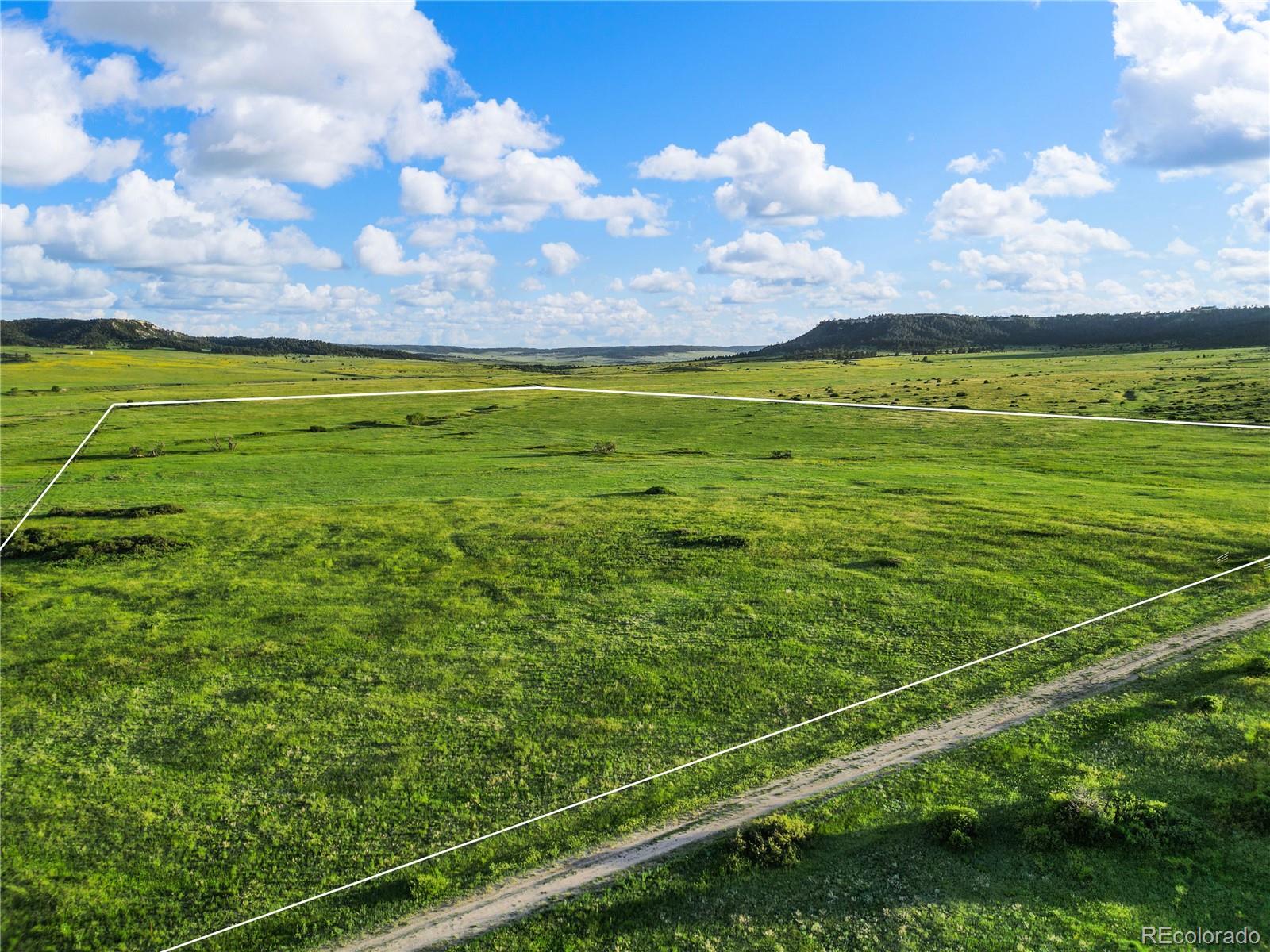 22 County Road 53 Elbert, CO 80106 - Photo 7 of 46 a view of a large pool with a yard