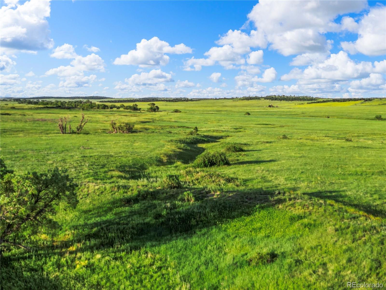 22 County Road 53 Elbert, CO 80106 - Photo 8 of 46 a view of a big yard with lots of green space houses in back