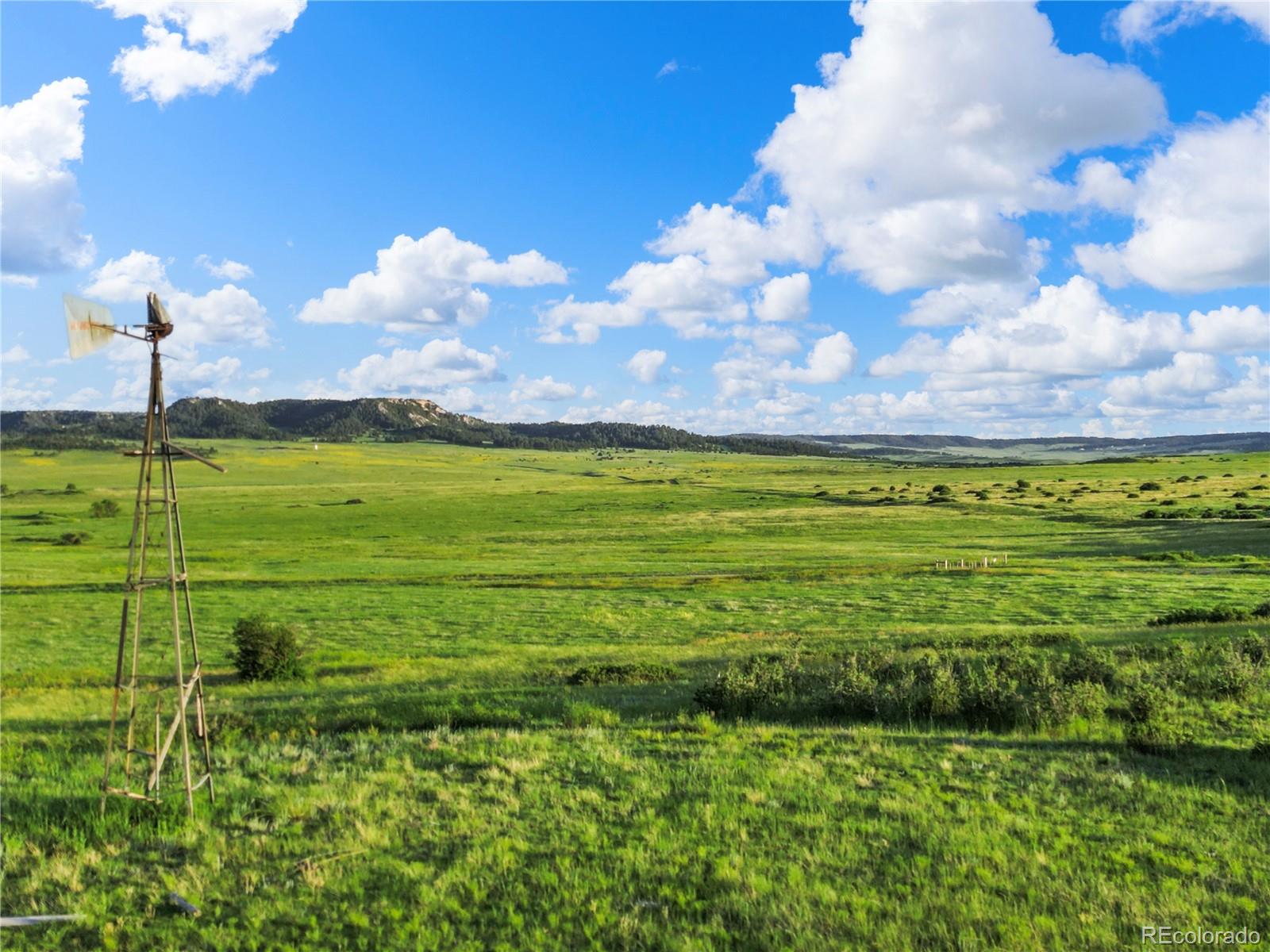 22 County Road 53 Elbert, CO 80106 - Photo 10 of 46 a view of a big yard with swimming pool and outdoor seating