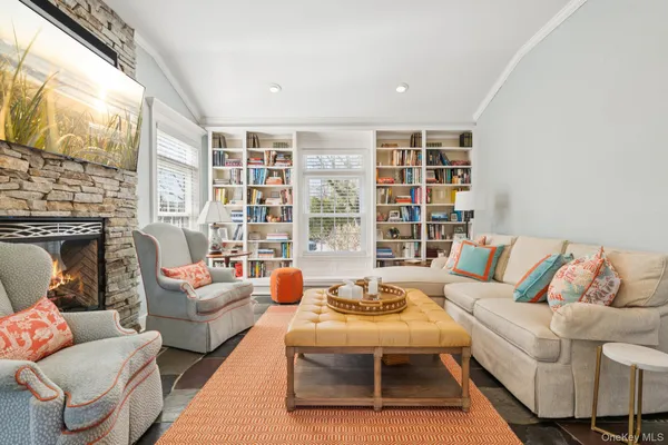 a living room with furniture and a fireplace