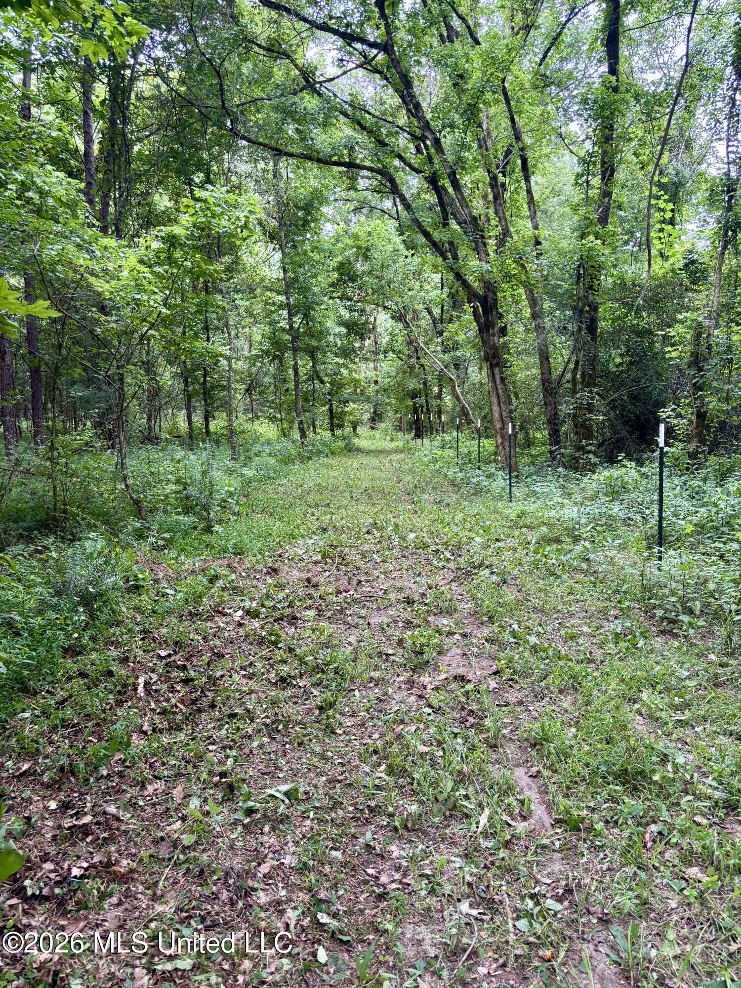 8119 Dry Grove Road Raymond, MS 39154 - Photo 3 of 45 IMG_4712