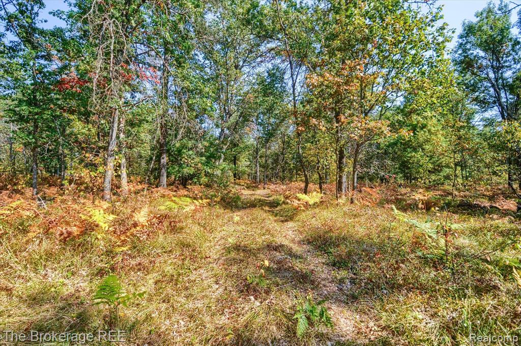 3260 Rabbit Track Road West Branch, MI 48661 - Photo 40 of 62 Gallery Image 40