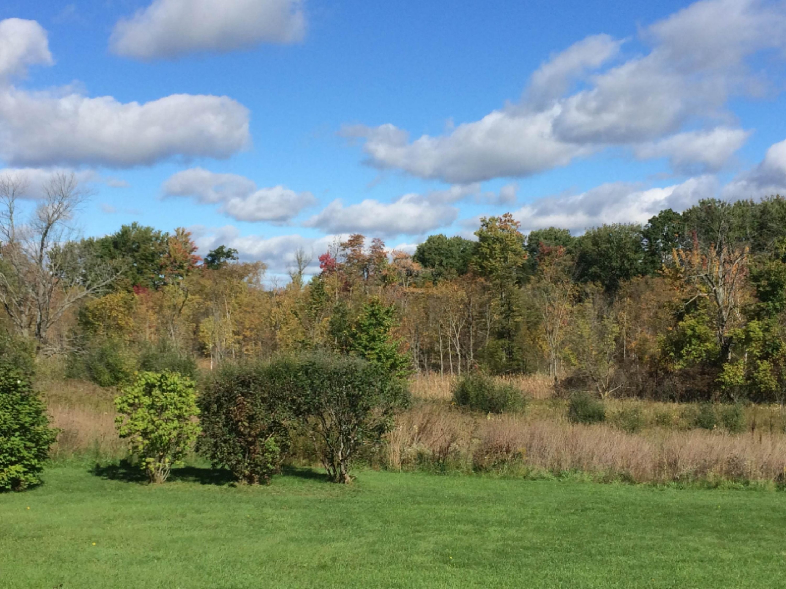6636 Deaner Road Six Lakes, MI 48886 - Photo 24 of 30 IMG_0569