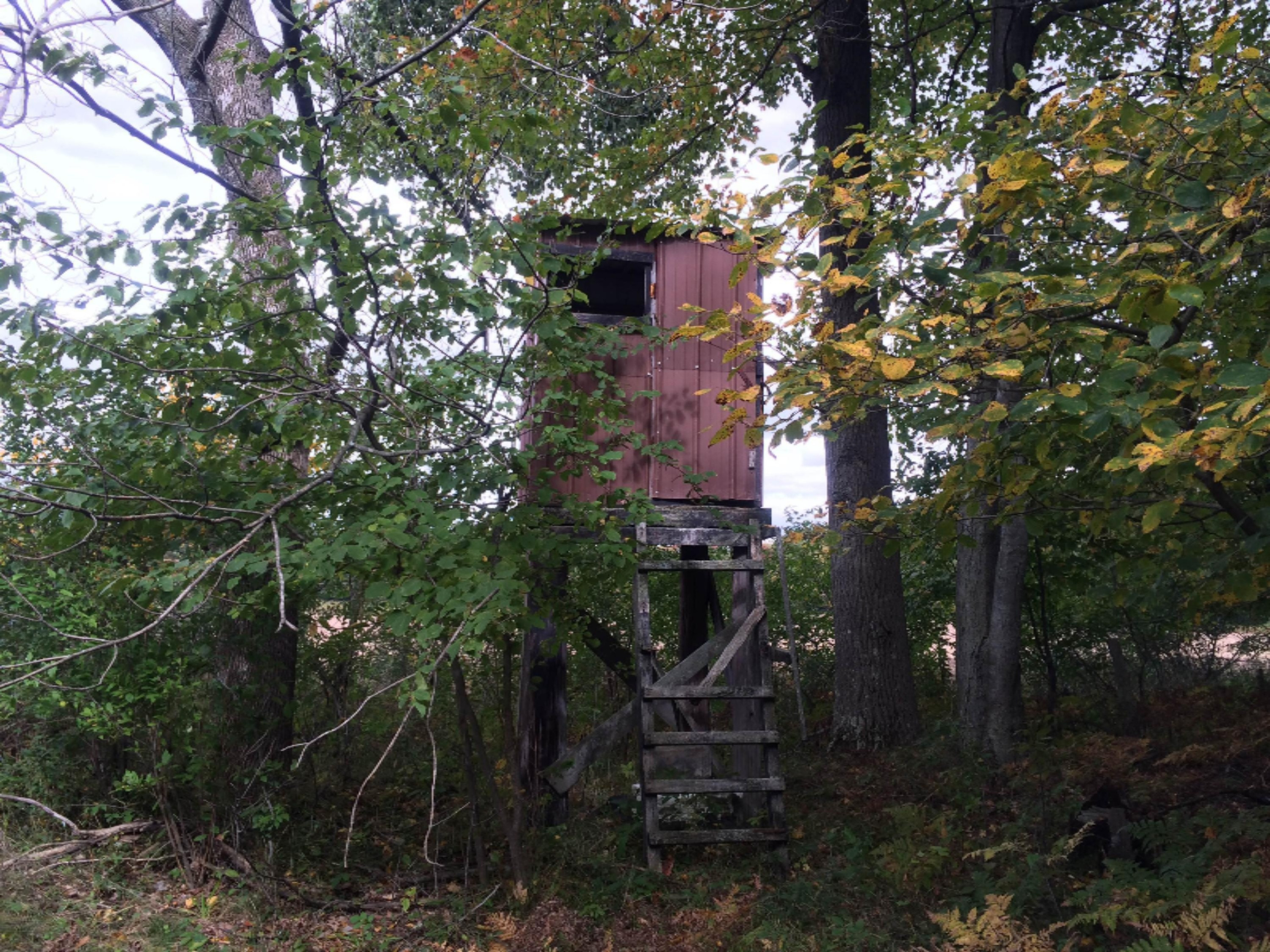6636 Deaner Road Six Lakes, MI 48886 - Photo 28 of 30 IMG_0592