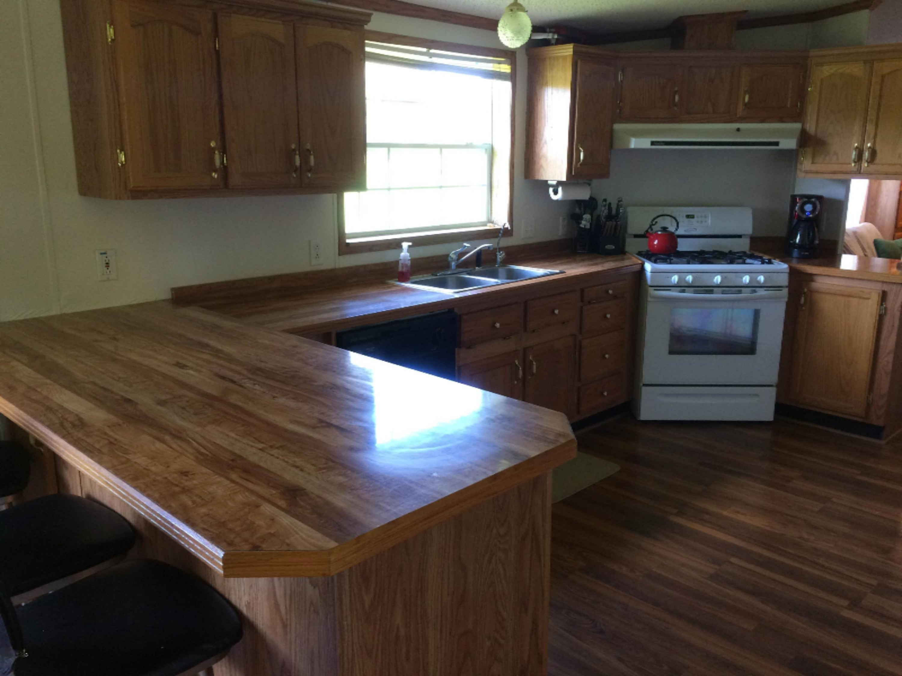 6636 Deaner Road Six Lakes, MI 48886 - Photo 6 of 30 IMG_0565