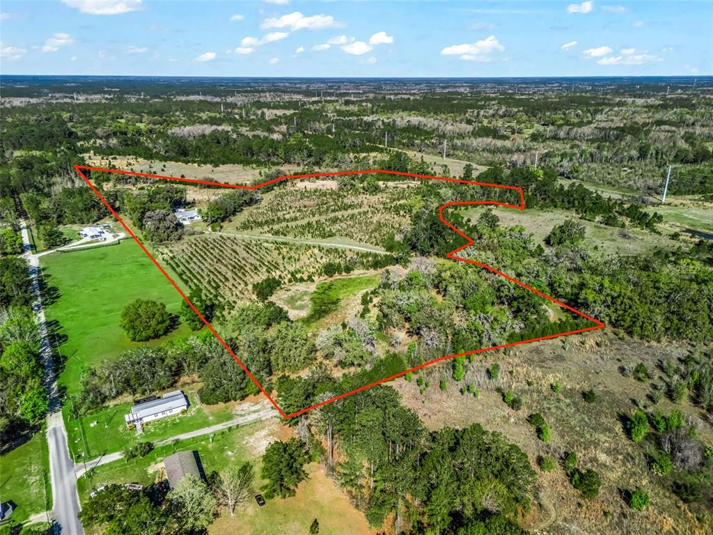 6350 Northeast 86th Avenue Bronson, FL 32621 - Photo 3 of 92 an aerial view of residential houses with outdoor space and trees