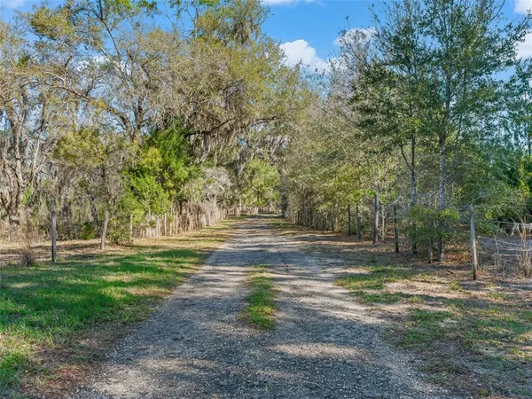 a view of a yard with large trees