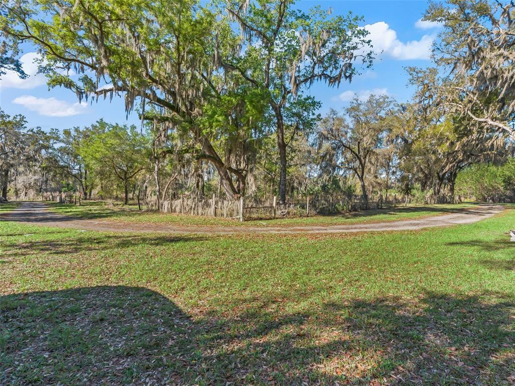 6350 Northeast 86th Avenue Bronson, FL 32621 - Photo 5 of 92 a view of outdoor space with deck and trees