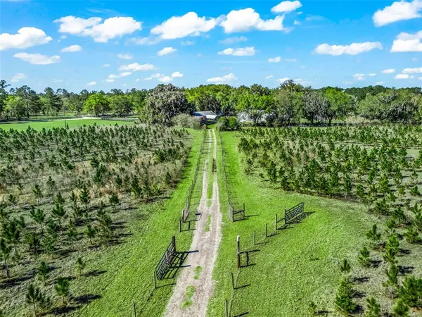 a view of lake with green space