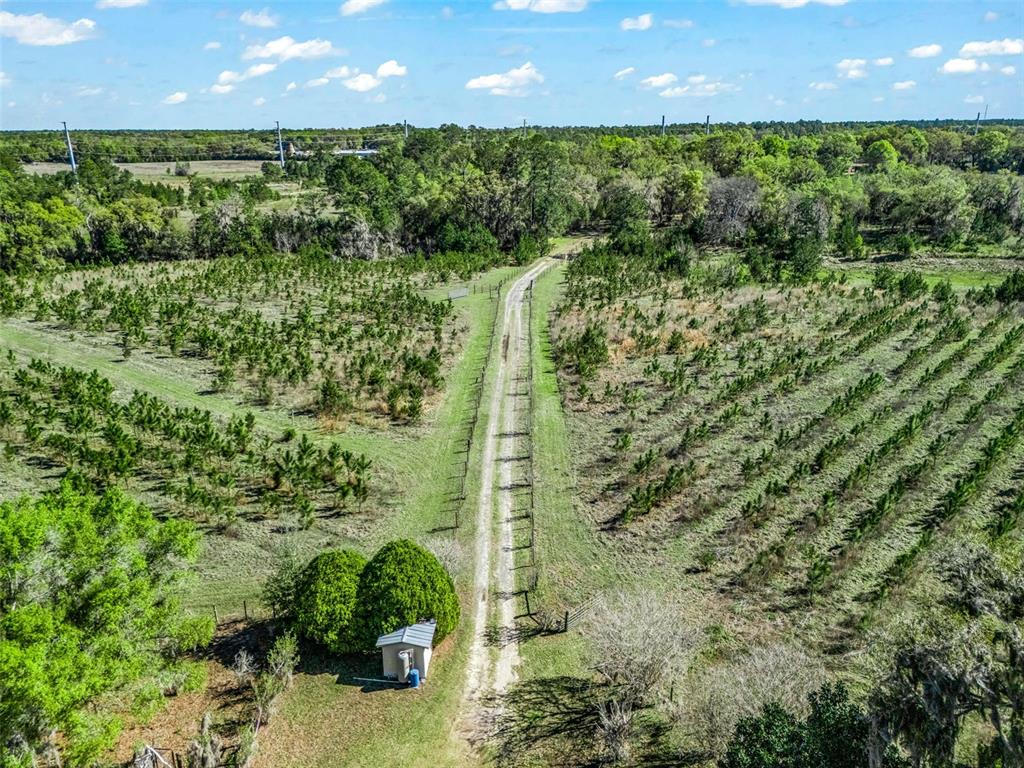 6350 Northeast 86th Avenue Bronson, FL 32621 - Photo 7 of 92