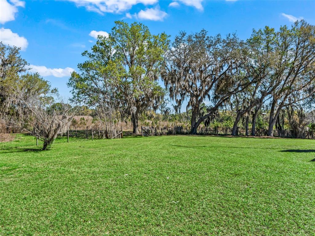 6350 Northeast 86th Avenue Bronson, FL 32621 - Photo 73 of 92 a view of a field of grass and trees
