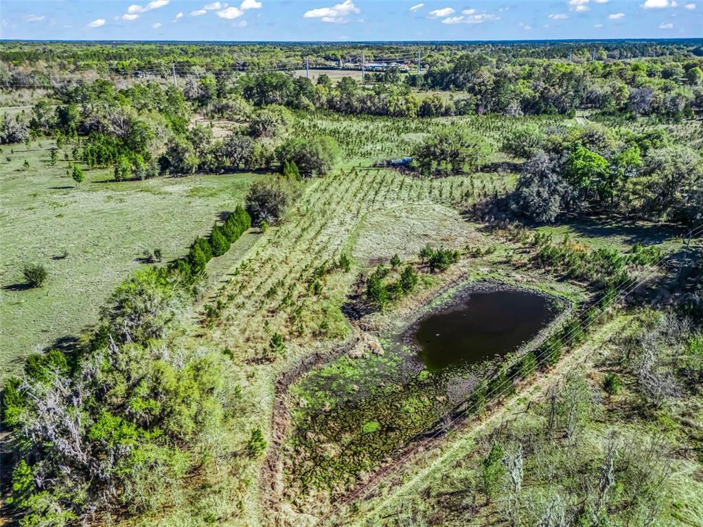 6350 Northeast 86th Avenue Bronson, FL 32621 - Photo 76 of 92 a view of outdoor space and yard