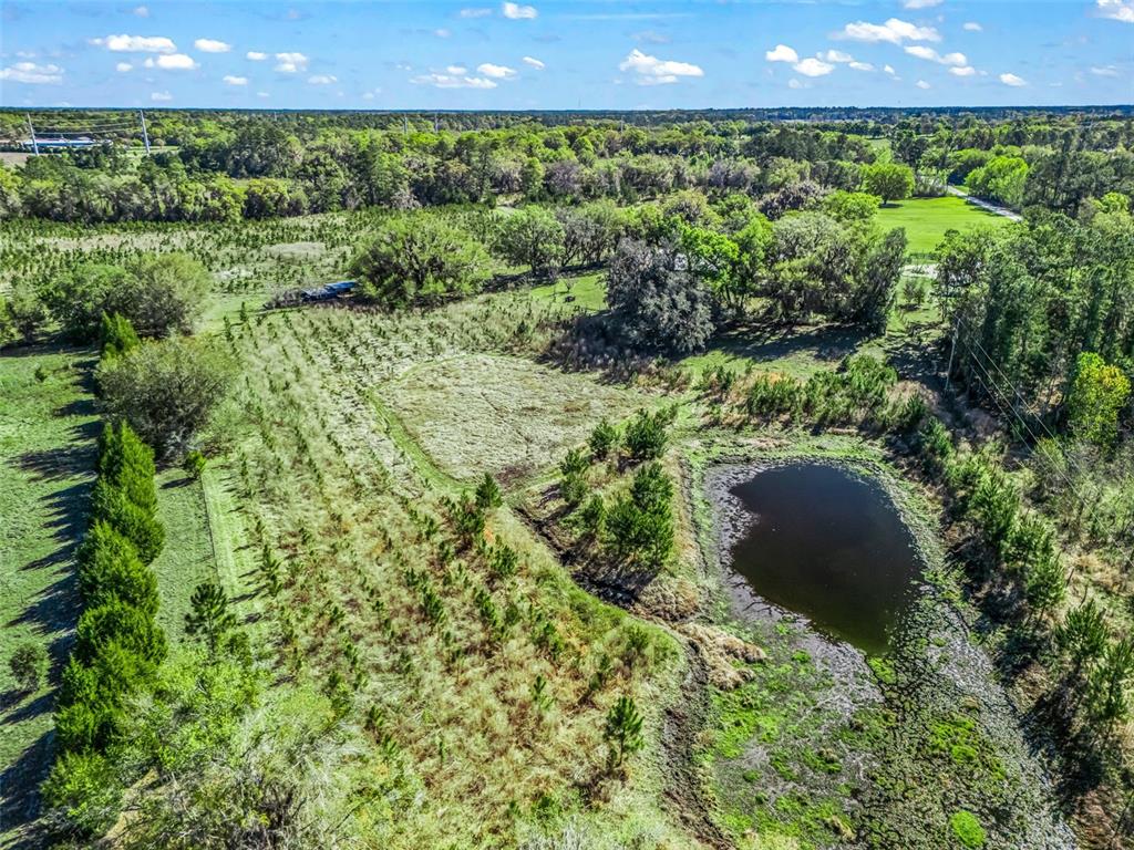 6350 Northeast 86th Avenue Bronson, FL 32621 - Photo 77 of 92