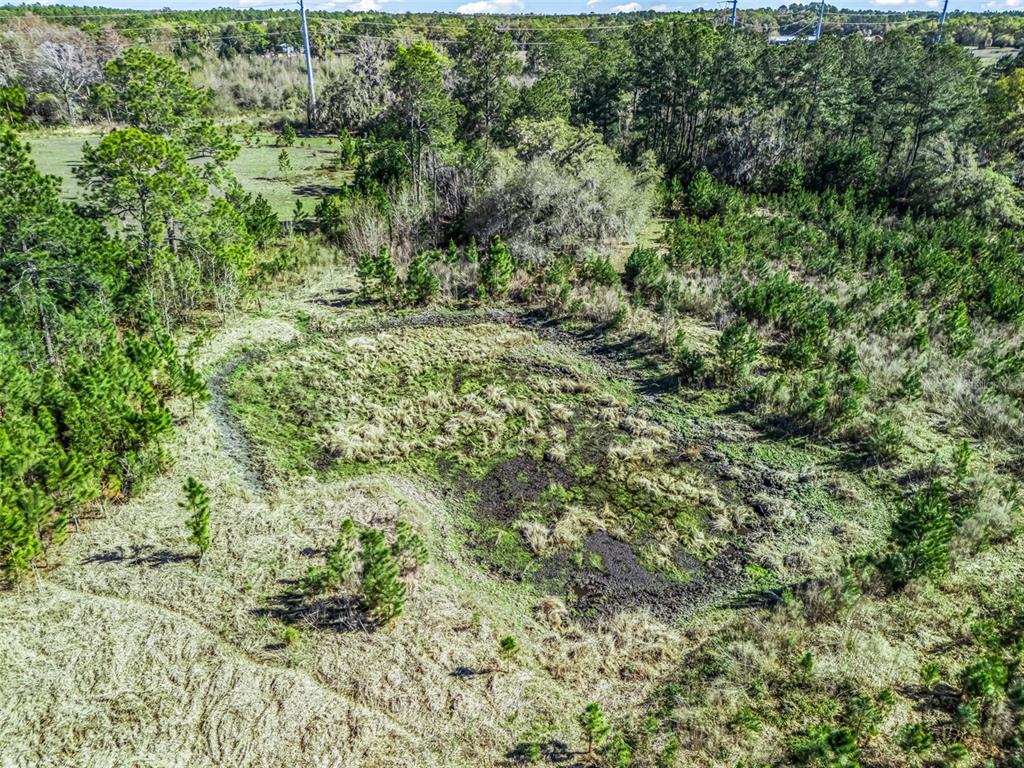 6350 Northeast 86th Avenue Bronson, FL 32621 - Photo 79 of 92 a view of a lush green forest with houses