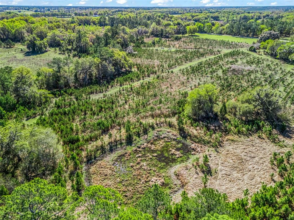 6350 Northeast 86th Avenue Bronson, FL 32621 - Photo 81 of 92 a view of a garden with a building