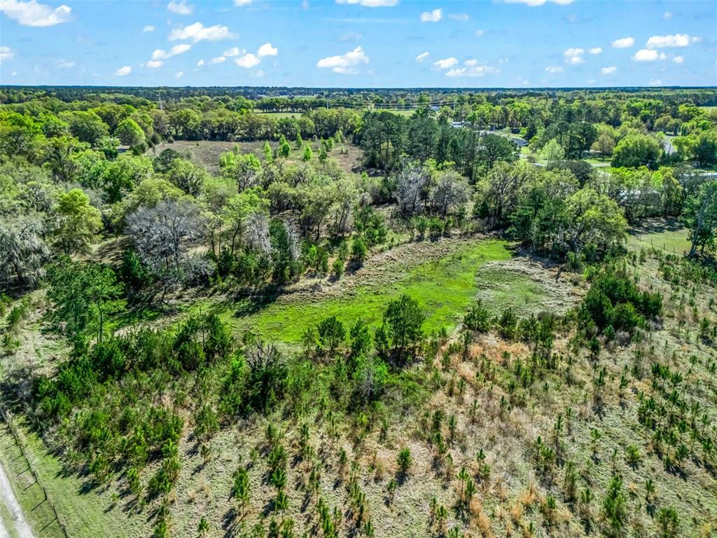 6350 Northeast 86th Avenue Bronson, FL 32621 - Photo 82 of 92