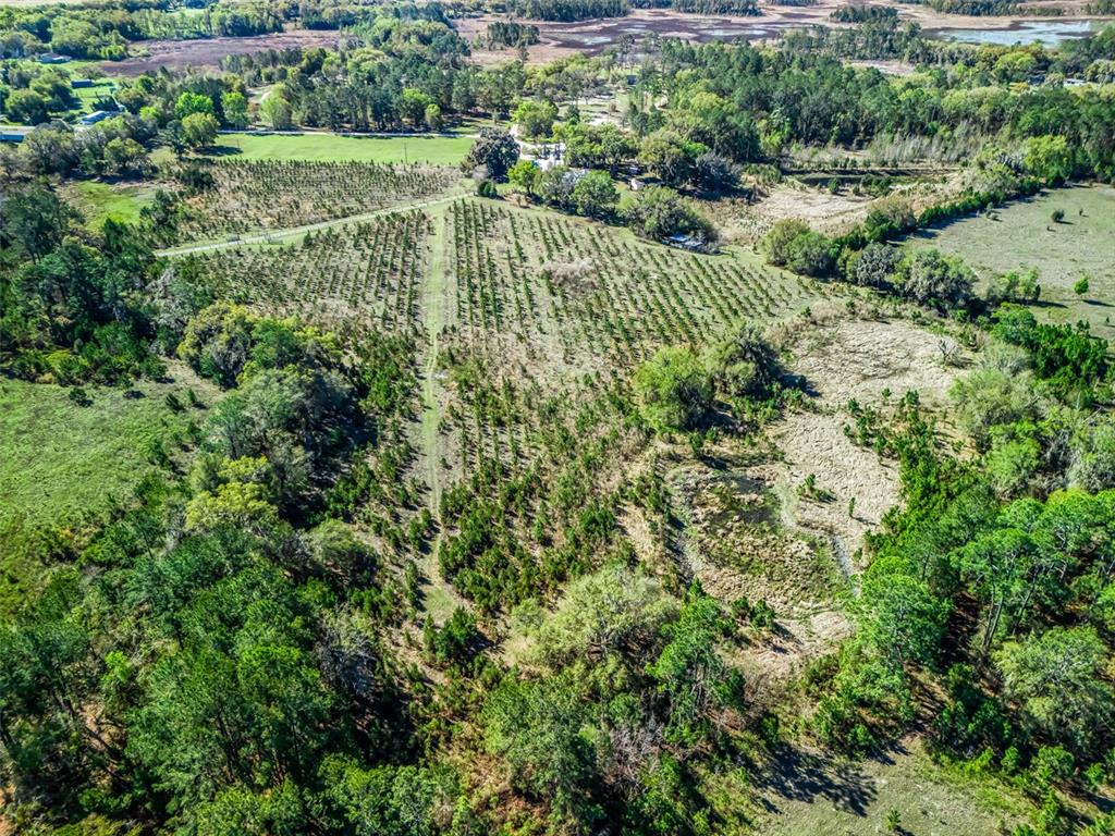 6350 Northeast 86th Avenue Bronson, FL 32621 - Photo 83 of 92 an aerial view of residential houses with outdoor space and trees