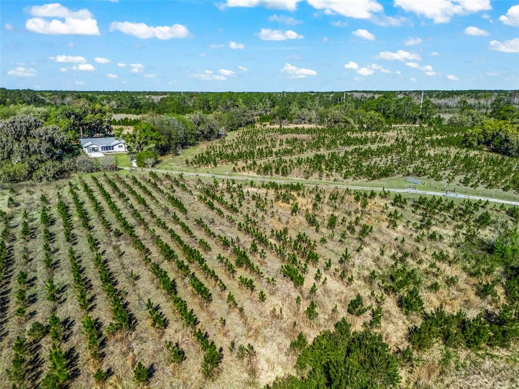 6350 Northeast 86th Avenue Bronson, FL 32621 - Photo 84 of 92