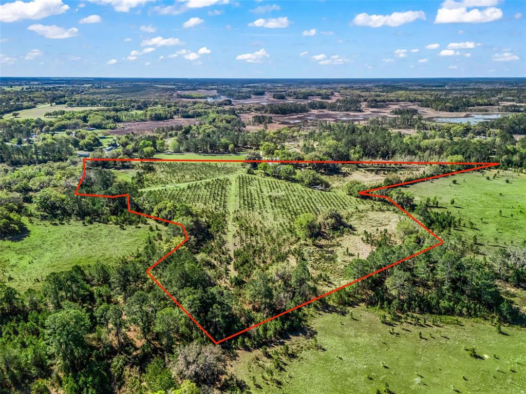 6350 Northeast 86th Avenue Bronson, FL 32621 - Photo 86 of 92