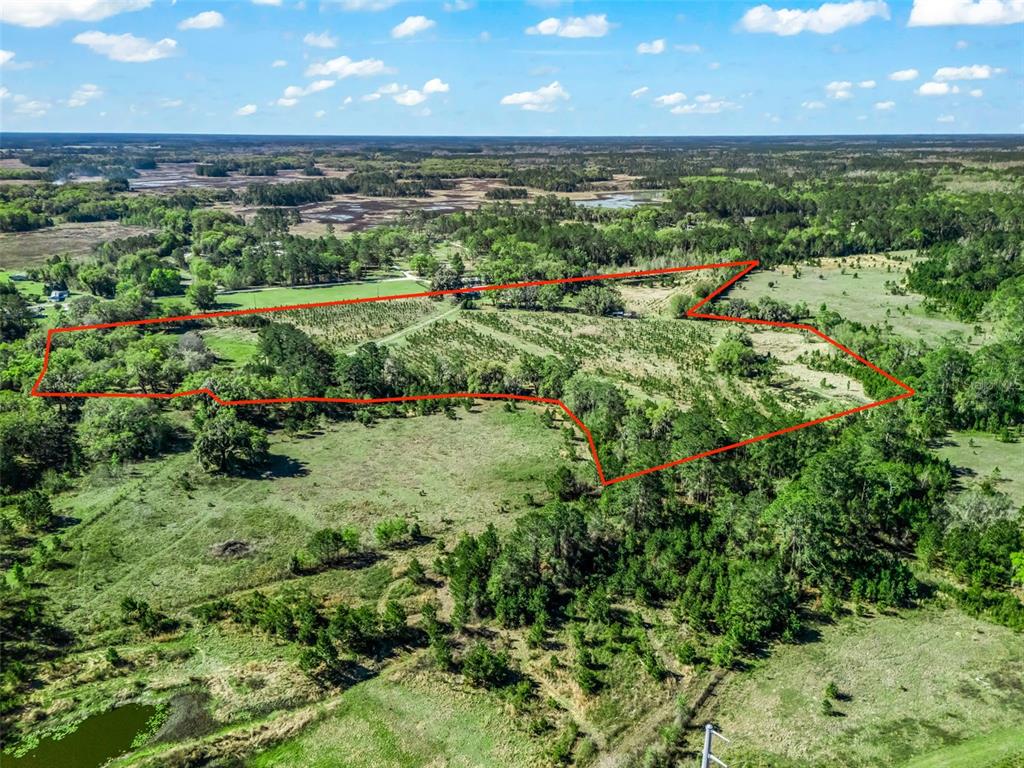 6350 Northeast 86th Avenue Bronson, FL 32621 - Photo 87 of 92 a view of an outdoor space with a lake view