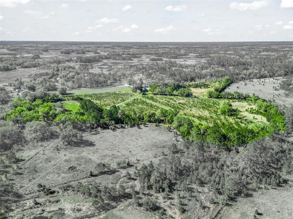 6350 Northeast 86th Avenue Bronson, FL 32621 - Photo 88 of 92