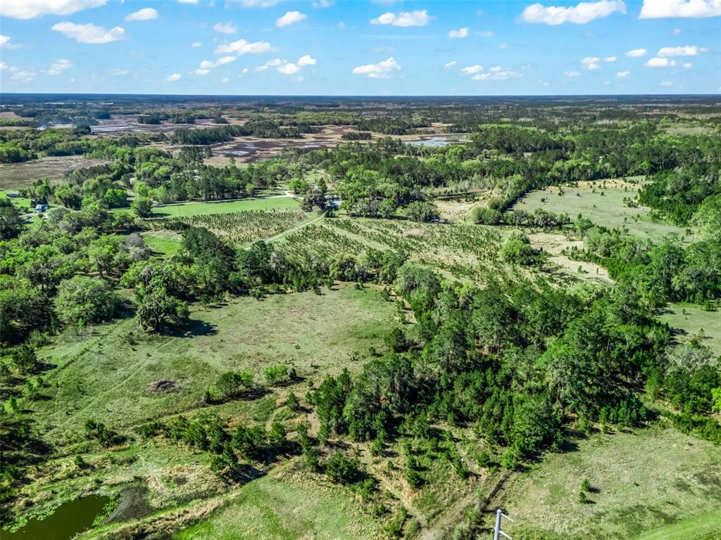 6350 Northeast 86th Avenue Bronson, FL 32621 - Photo 89 of 92