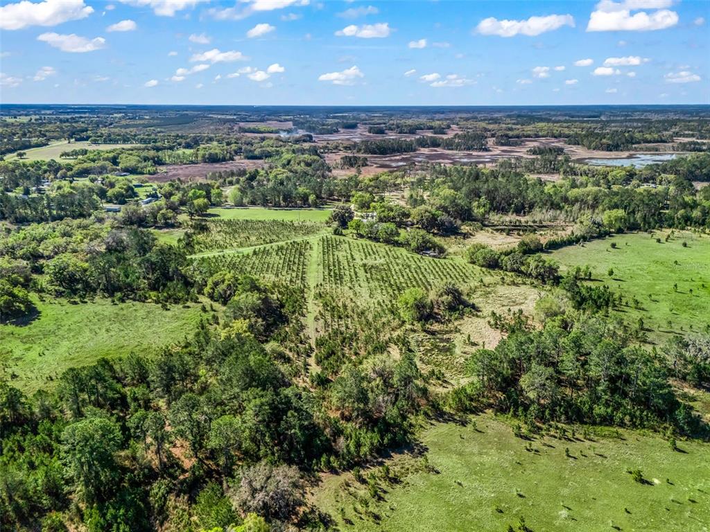 6350 Northeast 86th Avenue Bronson, FL 32621 - Photo 90 of 92 a view of a green field