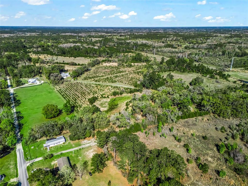 6350 Northeast 86th Avenue Bronson, FL 32621 - Photo 91 of 92