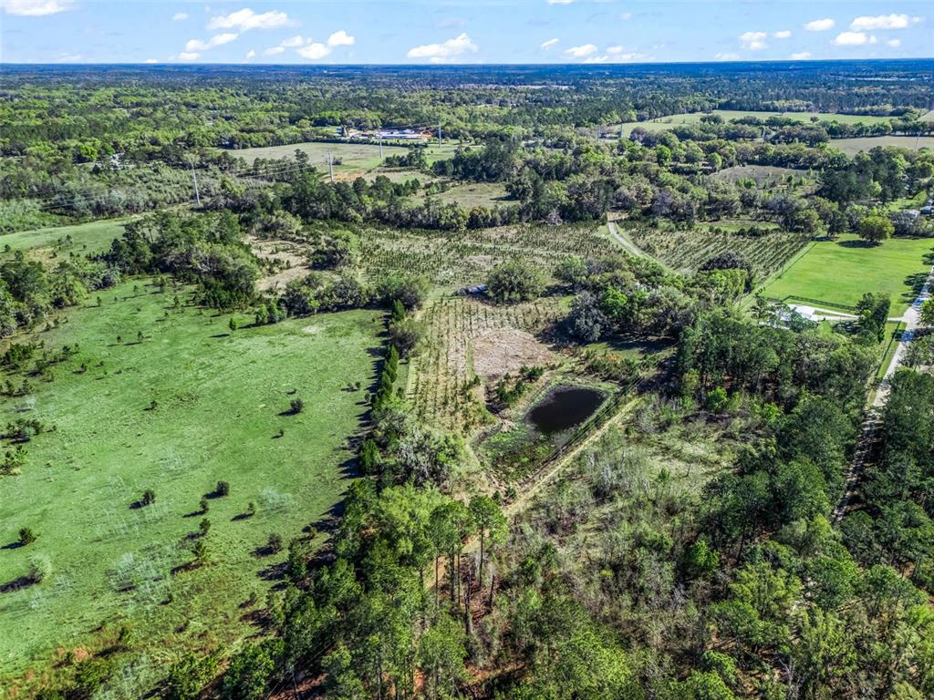 6350 Northeast 86th Avenue Bronson, FL 32621 - Photo 92 of 92 a view of a lush green forest with trees and houses