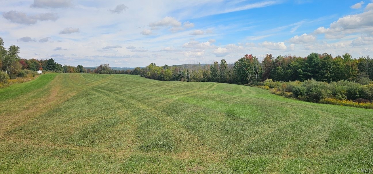 Learn Road Cameron Mills, NY 14820 - Photo 3 of 40 Gallery Image 3