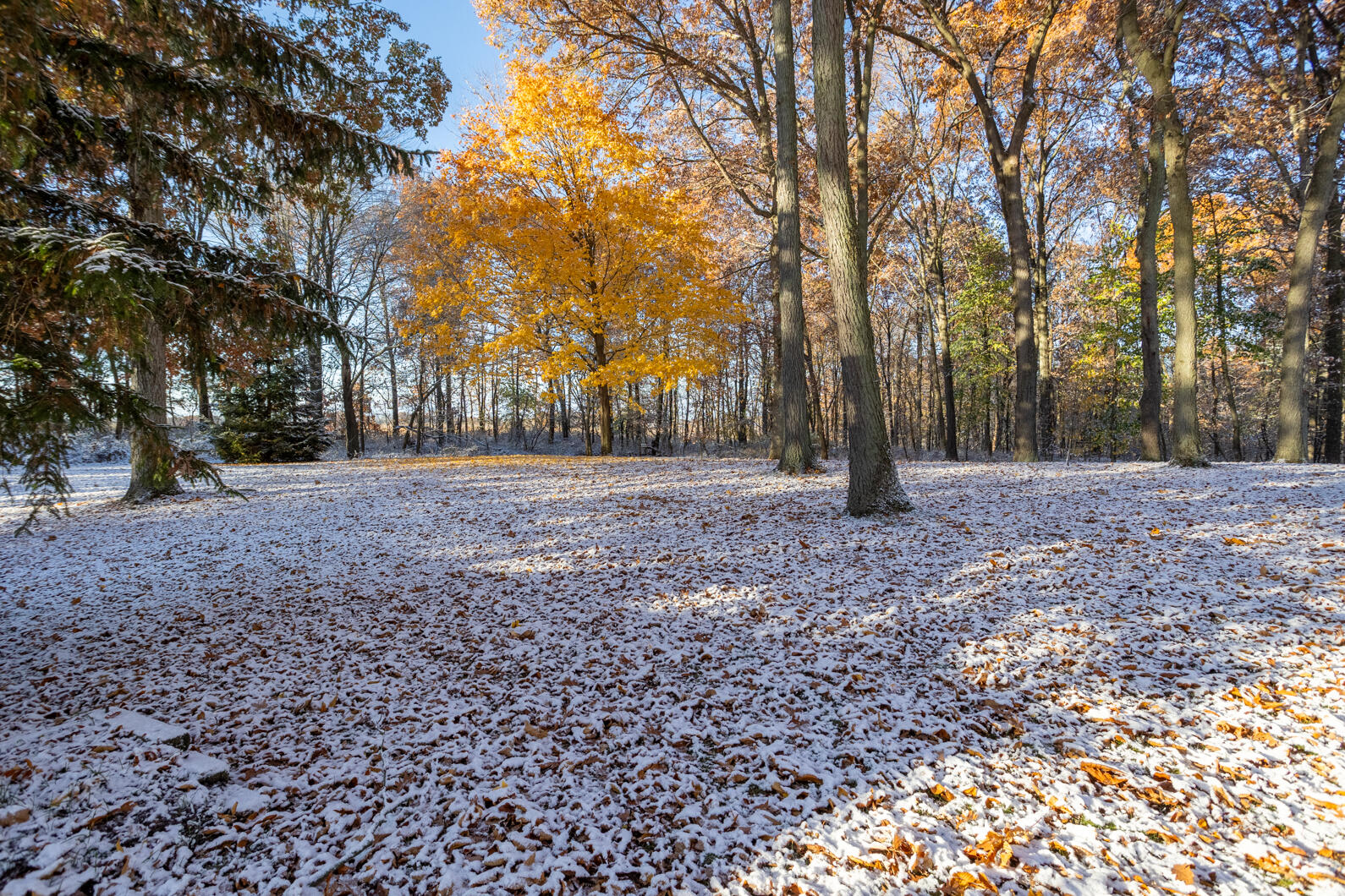11447 Miner Road Parma, MI 49269 - Photo 8 of 43 0N0A1995-HDR