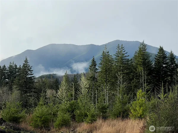 $388,675 | 3-xxx Snow Creek Road, Quilcene, WA 98376