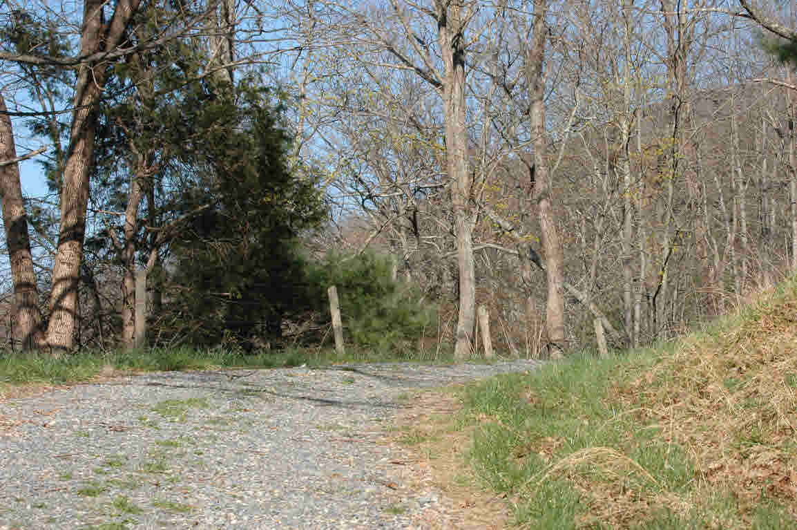 Lot E Springdale Road Pearisburg, VA 24134 - Photo 4 of 20 Gallery Image 4