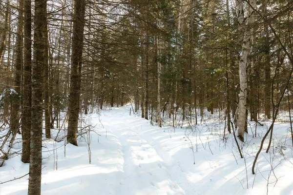 $190,000 | 6100 Herranen Road, Kettle River, MN 55757
