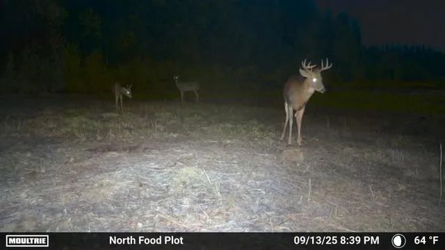 $190,000 | 6100 Herranen Road, Kettle River, MN 55757