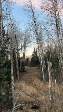 $190,000 | 6100 Herranen Road, Kettle River, MN 55757