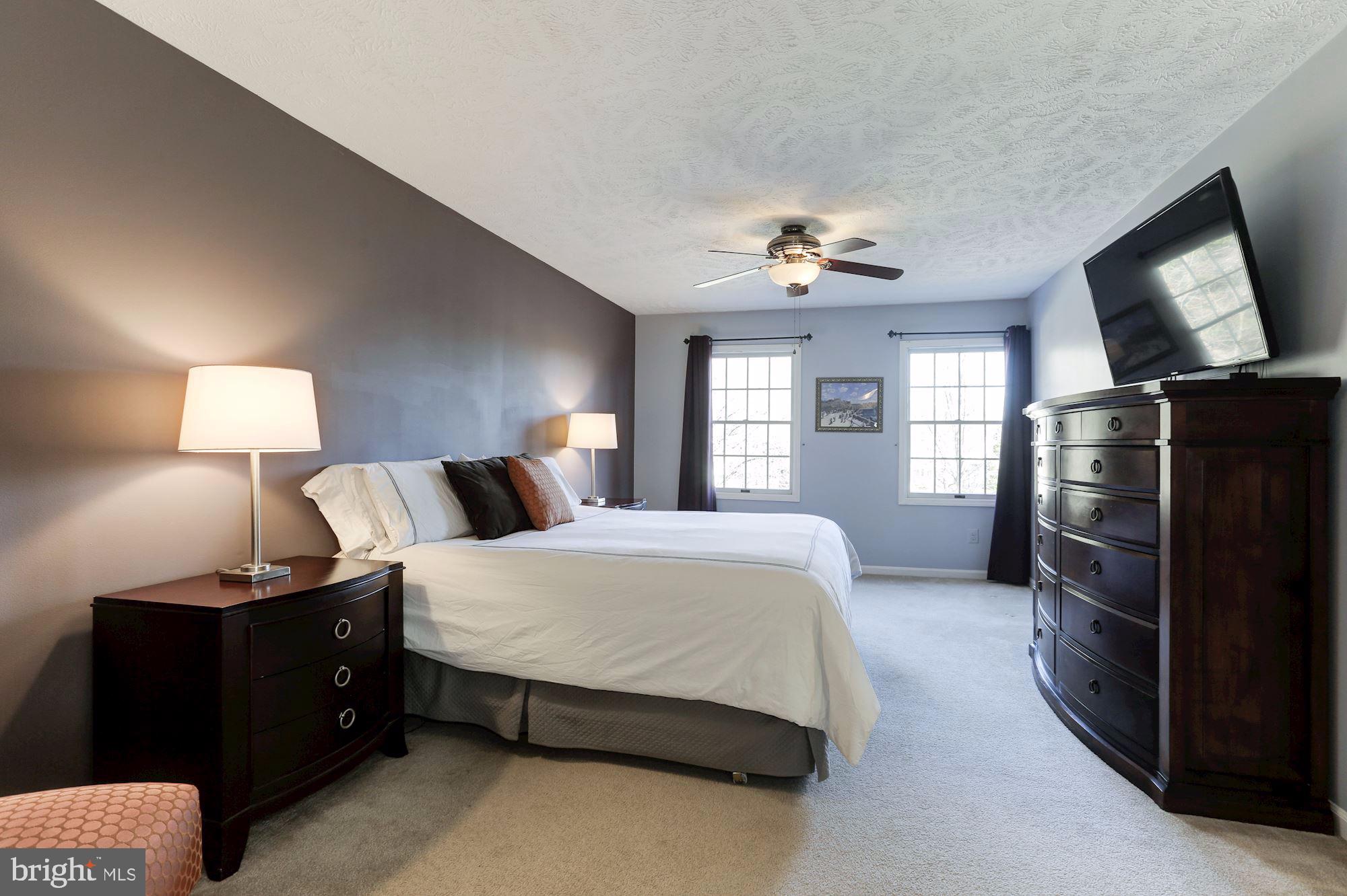 2304 Cavesson Court Reston, VA 20191 - Photo 21 of 45 Sun filled master bedroom