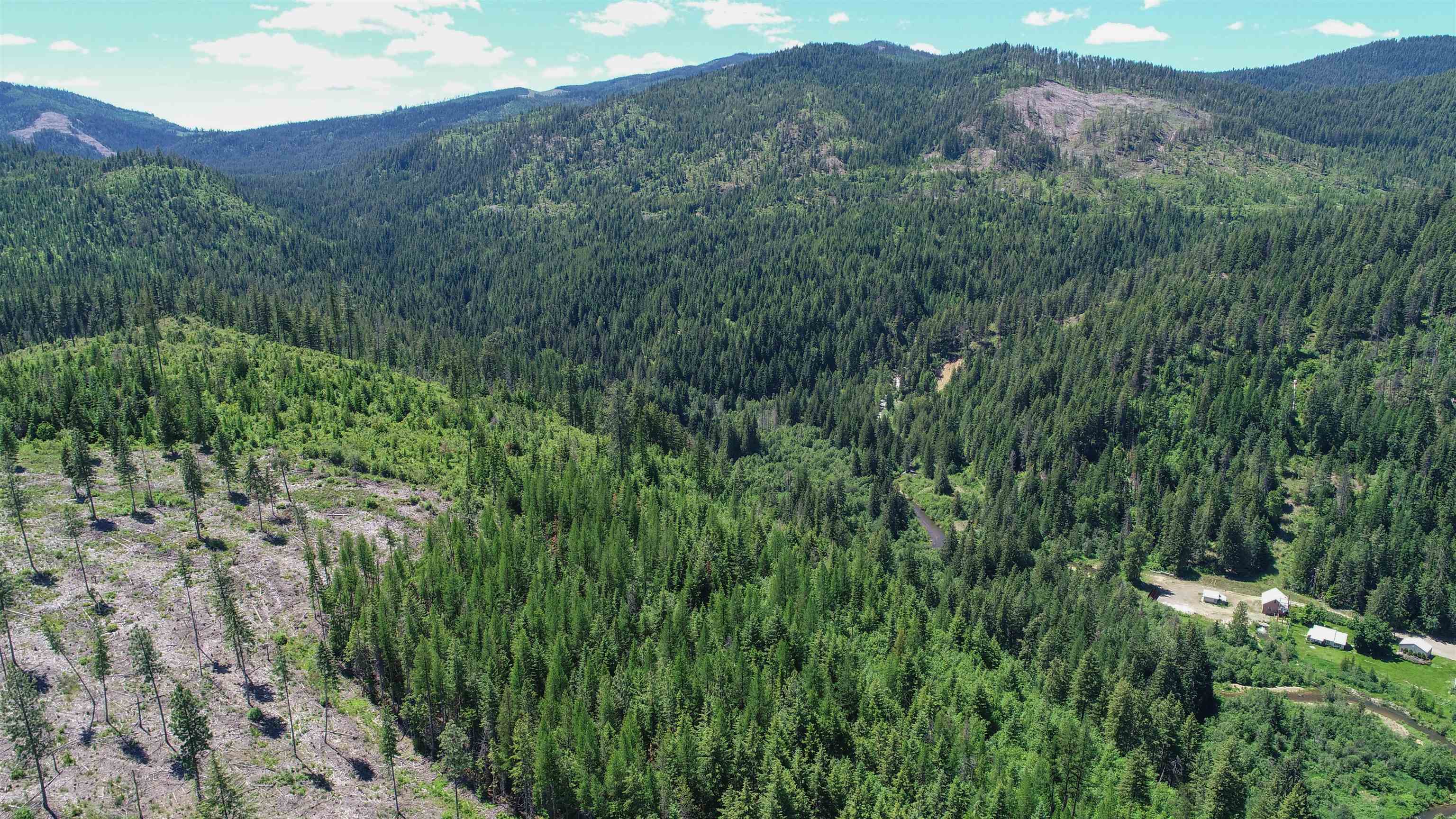 5585 Rocky Gorge Road Usk, WA 99180 - Photo 12 of 15 Gallery Image 12