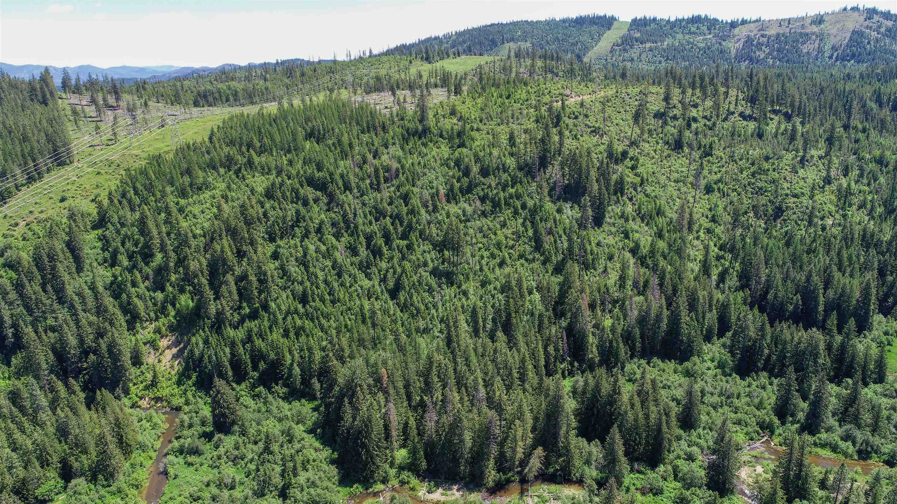 5585 Rocky Gorge Road Usk, WA 99180 - Photo 3 of 15 Gallery Image 3